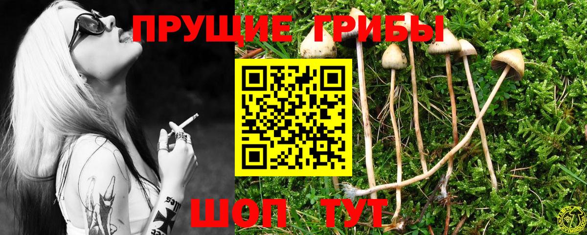 Галлюциногенные грибы мицелий  Вход с VPN  Рубцовск 