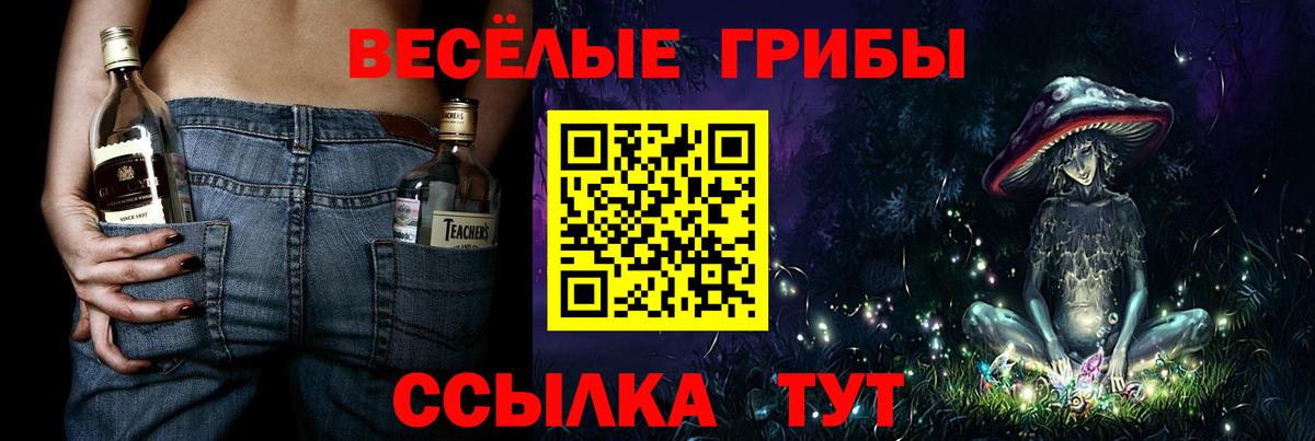 Псилоцибиновые грибы Psilocybine cubensis Рубцовск
